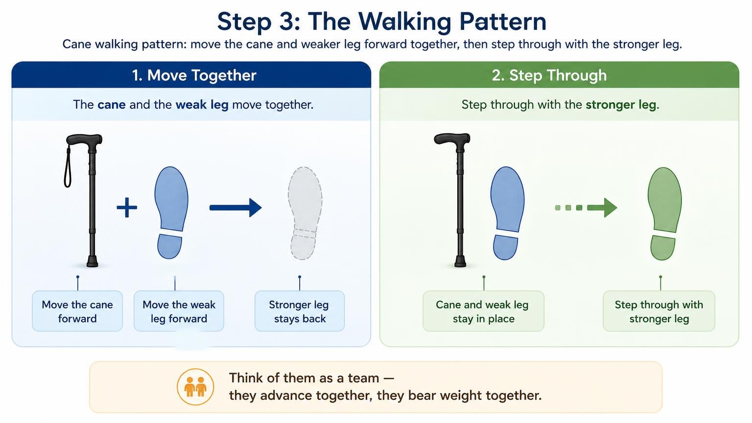 Illustration for How to Walk With a Cane: Fit, Technique, and Stairs: Step 3: The walking pattern