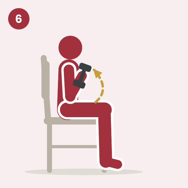 Biceps curl: a seated person curls a light hand weight toward the shoulder